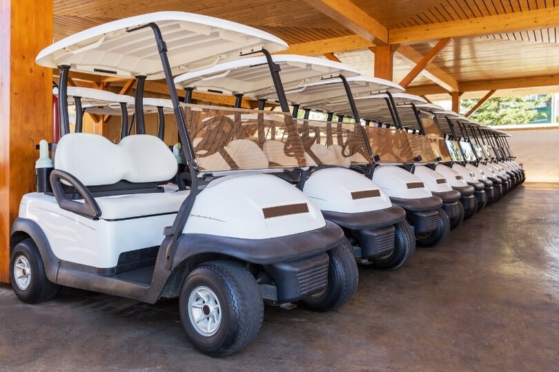 4 Passenger Golf Cart | Golf Cart Rental Georgia - Coast to Coast Rental